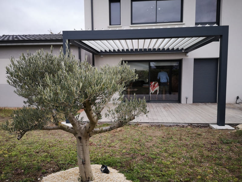 Pergolas et stores